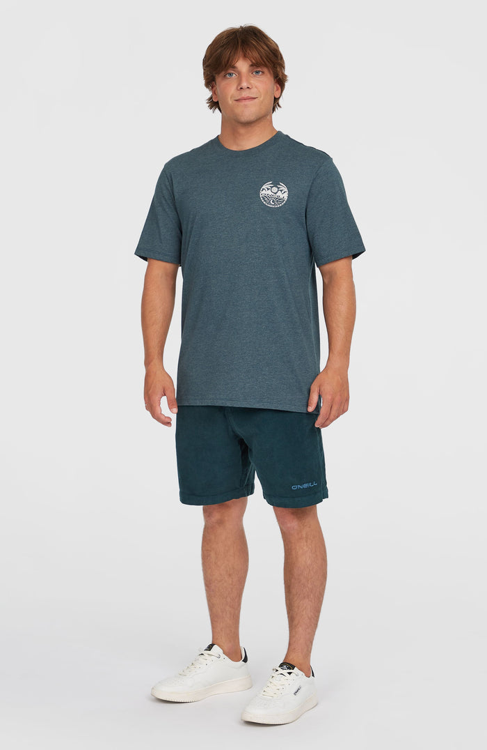 Back Print T-Shirt | Alma Steel Melange