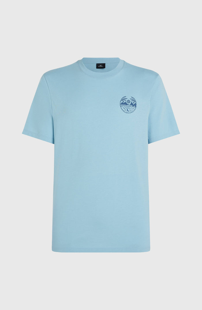 Back Print T-Shirt | Morning Glory Melange