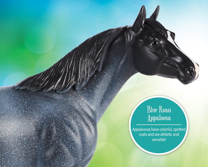 Blue Roan Appaloosa head shot with informational burst