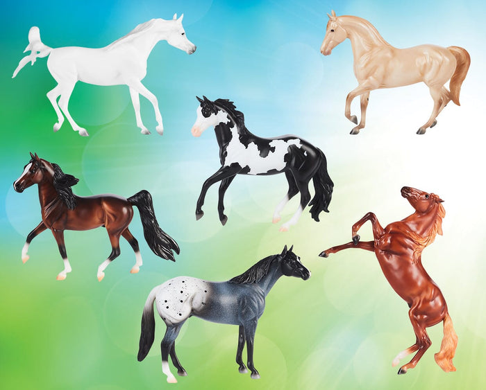 2026 Freedom Series Models
