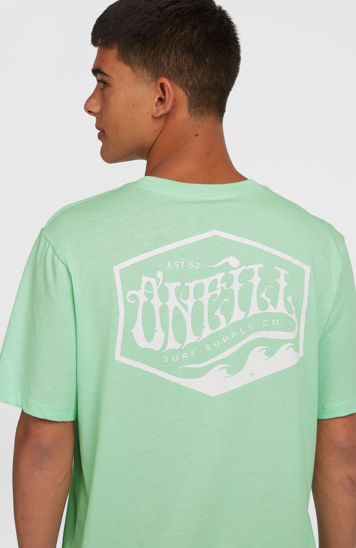 Box Logo T-Shirt | Mildrew Mint