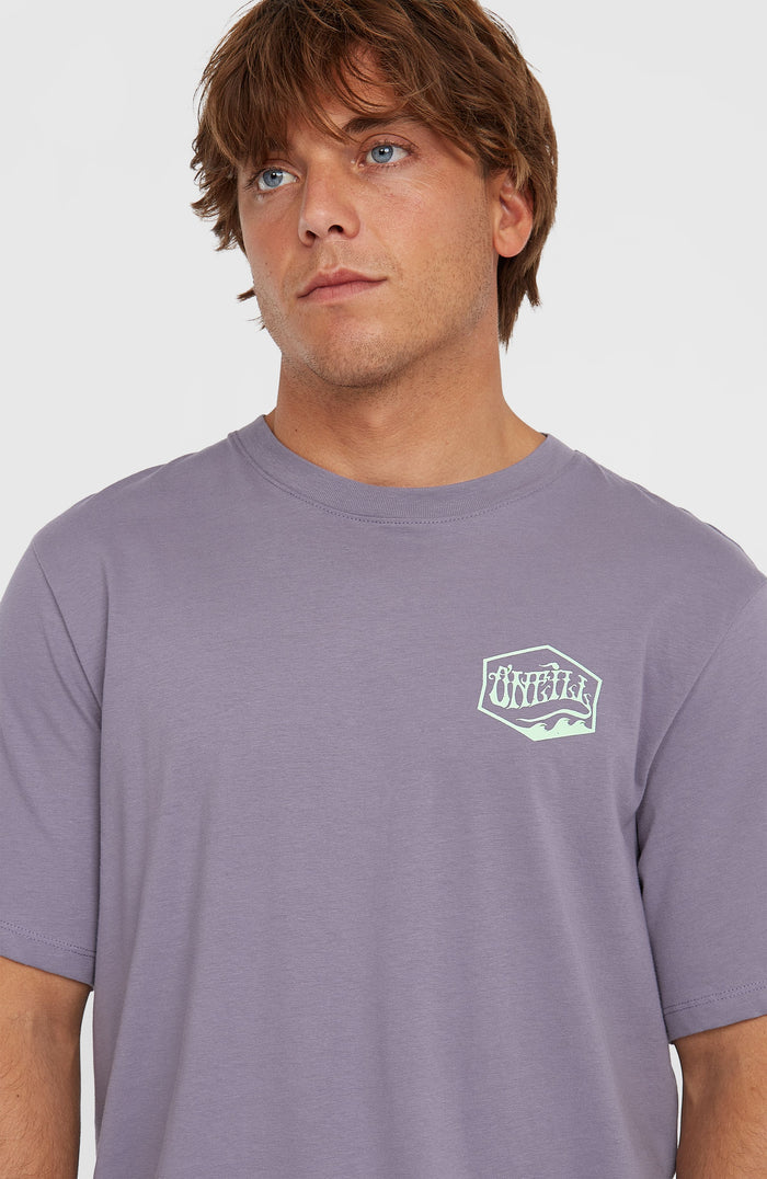 Box Logo T-Shirt | Storm