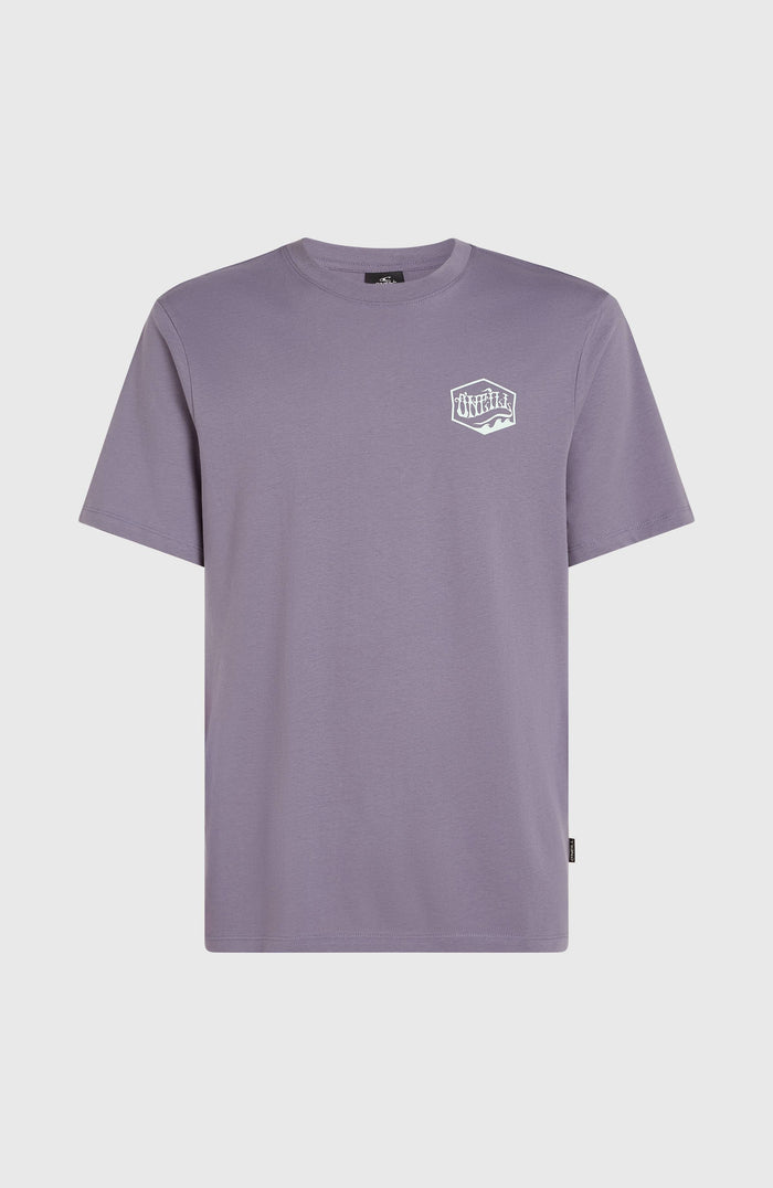 Box Logo T-Shirt | Storm