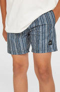 Cali 14'' Swim Shorts | Blue Pressed Lines