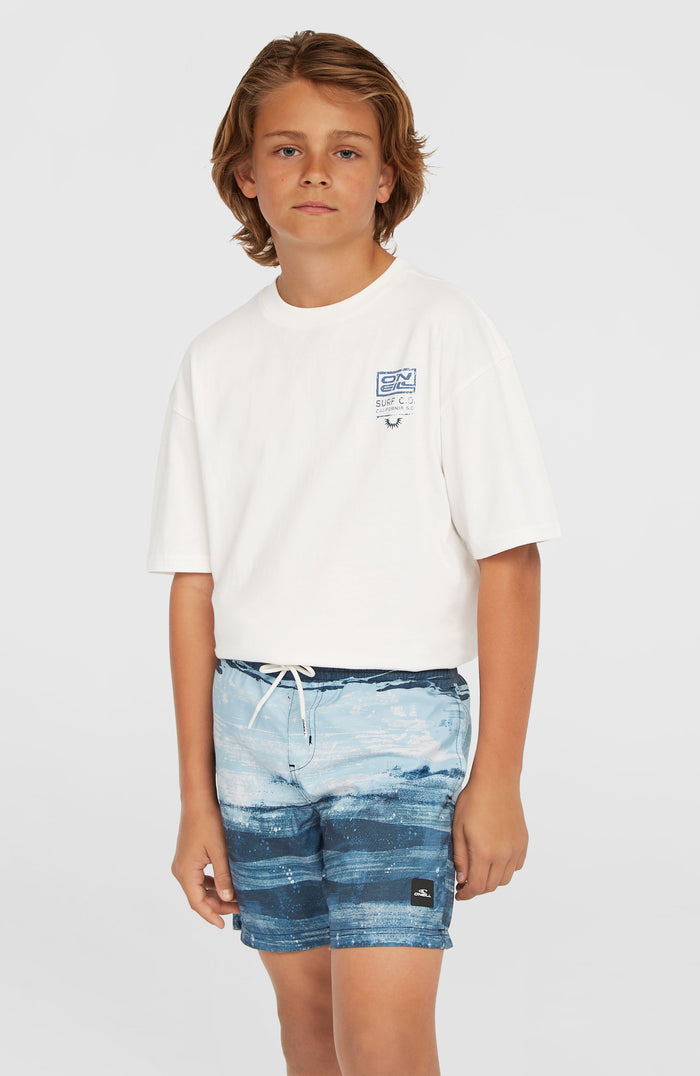 Cali Gradient 14'' Swim Shorts | Blue Melted Stripe Boys