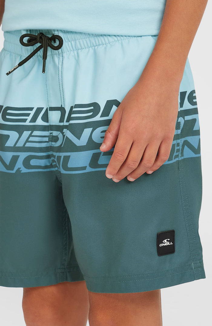 Cali Stripe 14'' Swim Shorts | Blue Upside Down