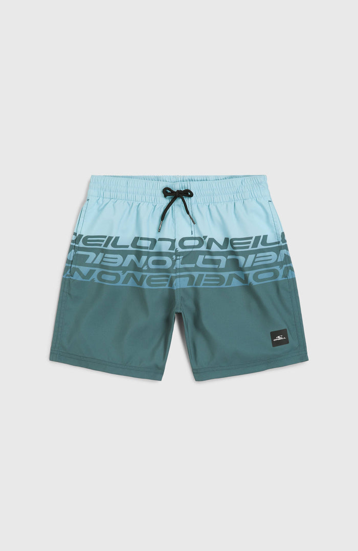 Cali Stripe 14'' Swim Shorts | Blue Upside Down