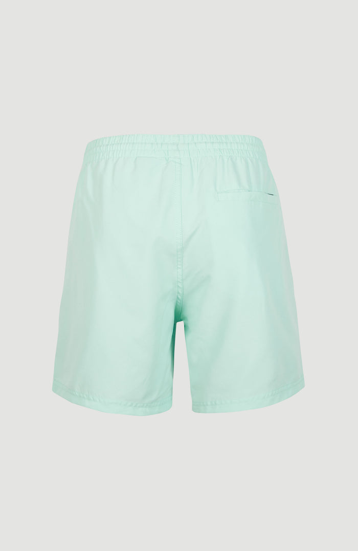 Cali Swim Shorts | Beach Glass
