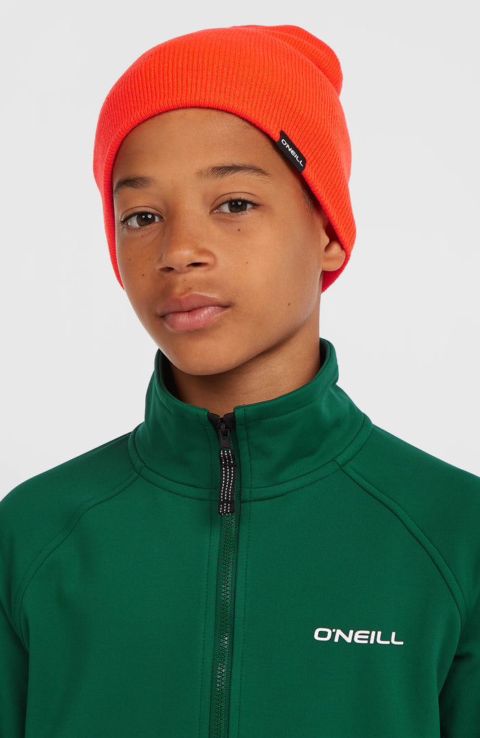 Dolomite Beanie | Tokyo Lights