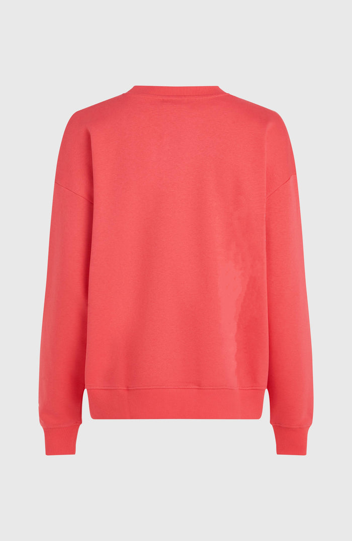 Future Surf Crew Sweatshirt | Froly