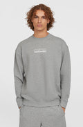 Future Surf Society Crew | Silver Melee