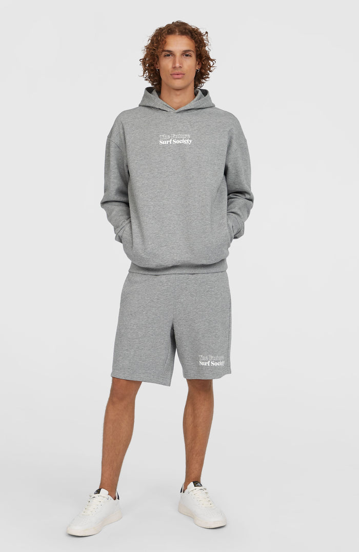 Future Surf Society Hoodie | Silver Melee