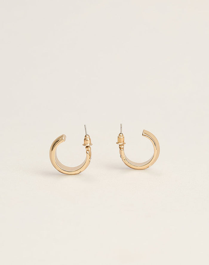Image of Gold Crystal Hoop Earrings