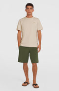 Hybrid Chino 19" Shorts | Forest Night