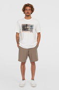 Hybrid Chino 19" Shorts | Pure Cashmere