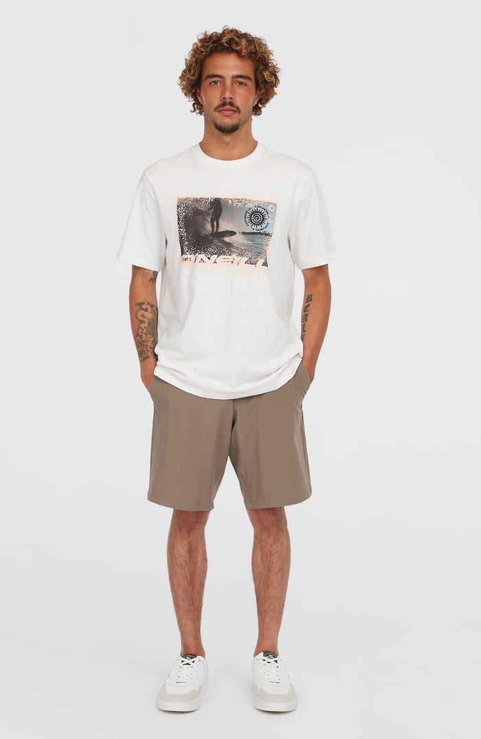 Hybrid Chino 19" Shorts | Pure Cashmere