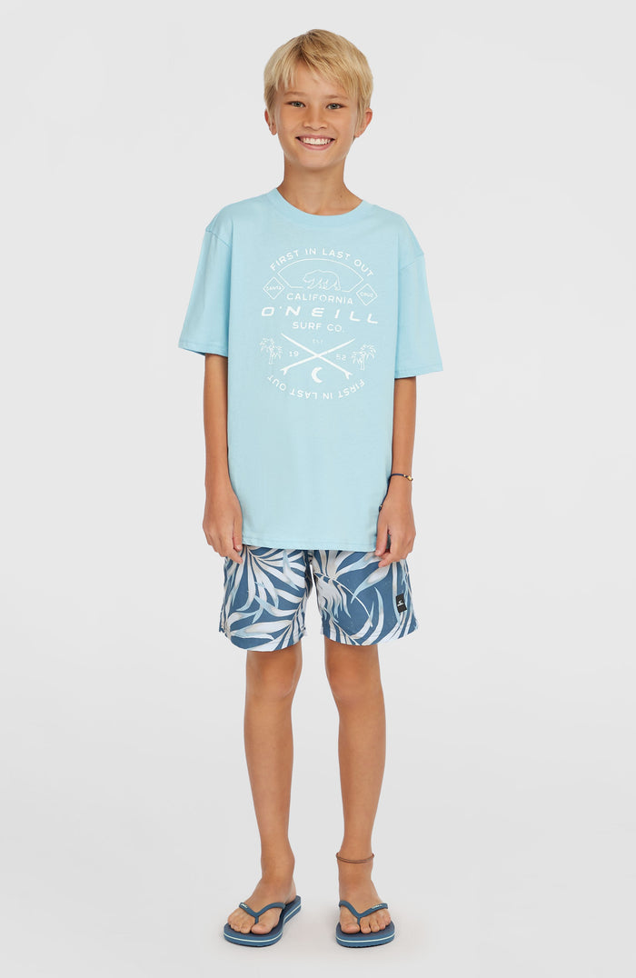 Jack O'Neill Muir T-Shirt | Morning Glory