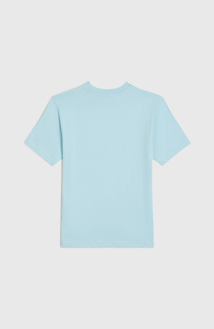 Jack O'Neill Muir T-Shirt | Morning Glory