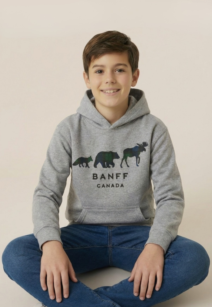 Kids Grey 3 Animals with Banff Hoodie