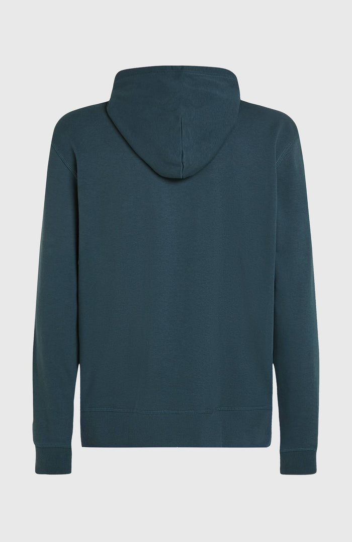 Logo Hoodie | Alma Steel