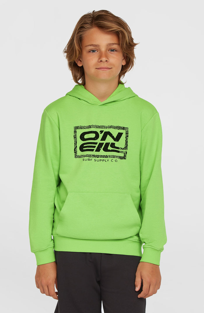 Logo Hoodie | Paradise Valley