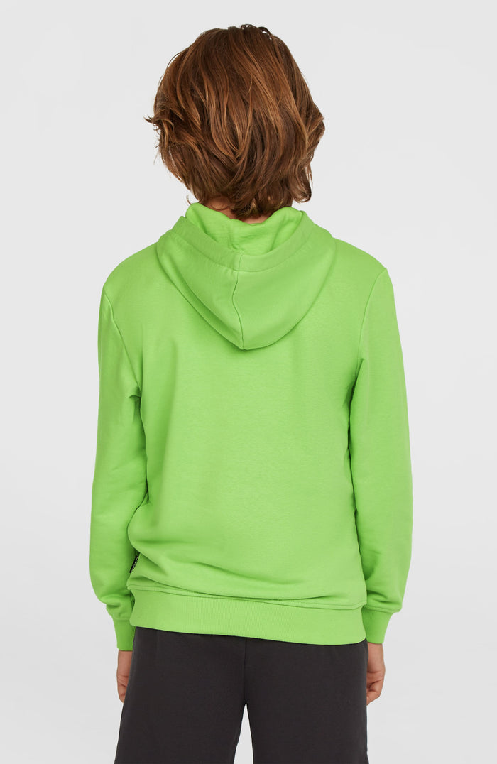 Logo Hoodie | Paradise Valley