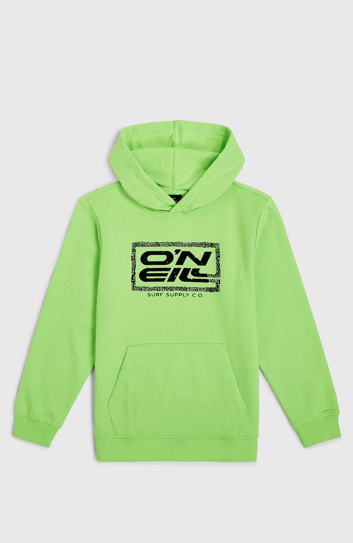 Logo Hoodie | Paradise Valley