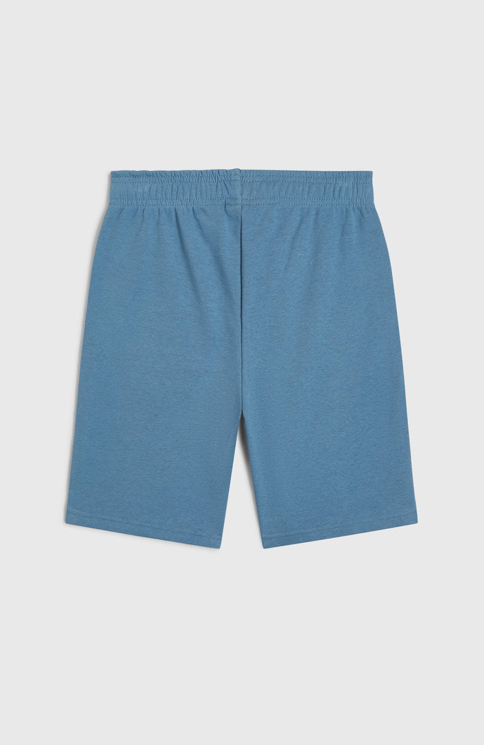 Logo Sweatshorts | Copen Blue