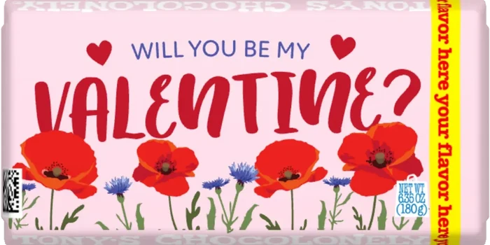 my valentine-Tony’s Chocolonely United States
