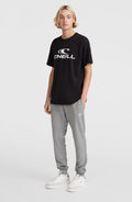 O'Neill Small Logo Sweatpants | Silver Melee