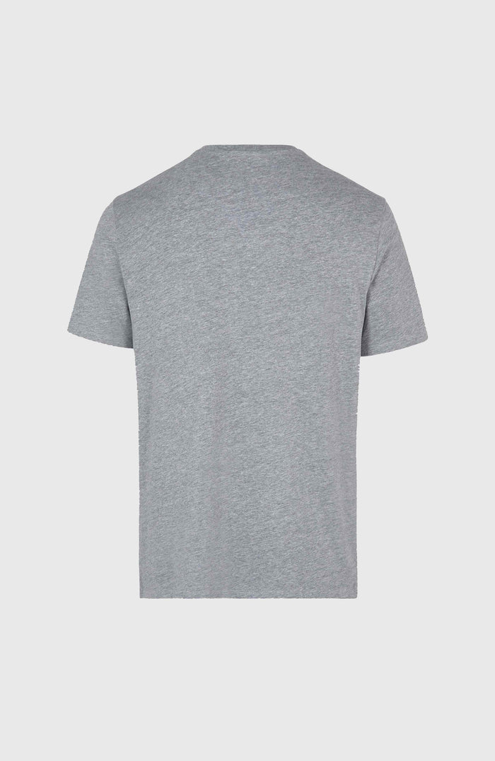O'Neill Small Logo T-Shirt | Silver Melee