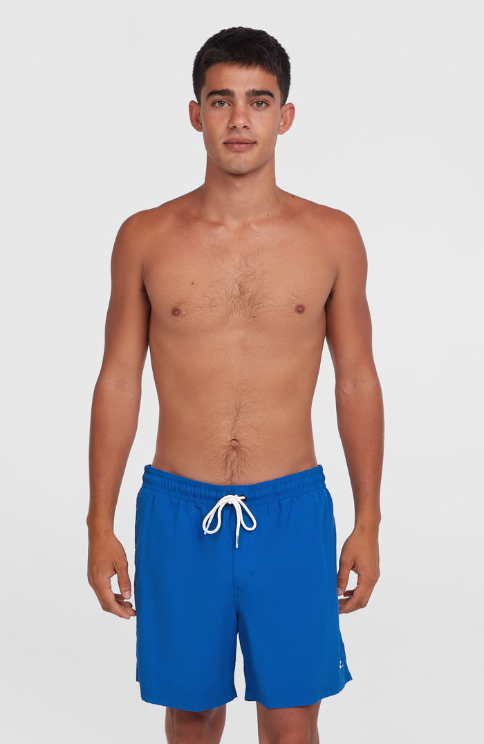 O'Neill Vert 16" Swim Shorts | Victoria Blue