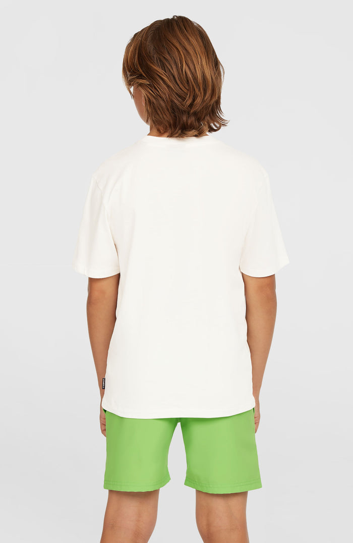 Original Cali 14'' Swim Shorts | Paradise Valley