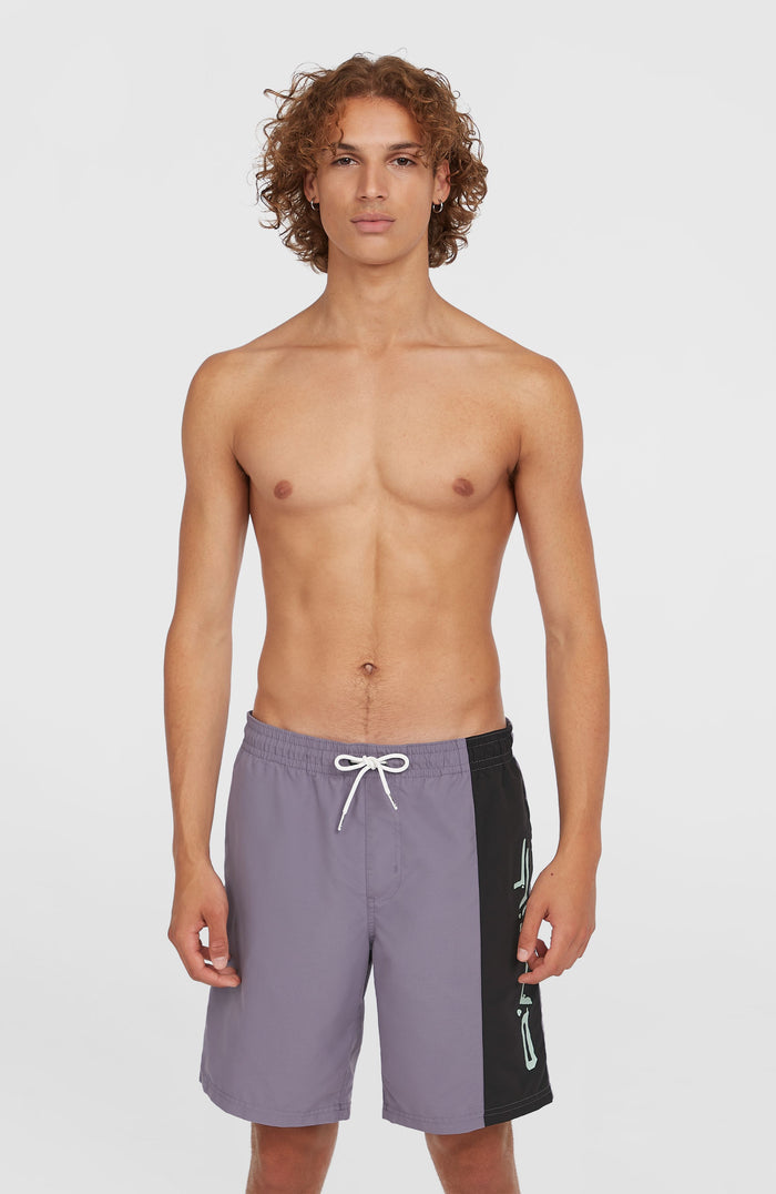 Retro 19'' Swim Shorts | Storm Colour Block