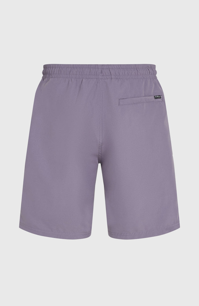 Retro 19'' Swim Shorts | Storm Colour Block