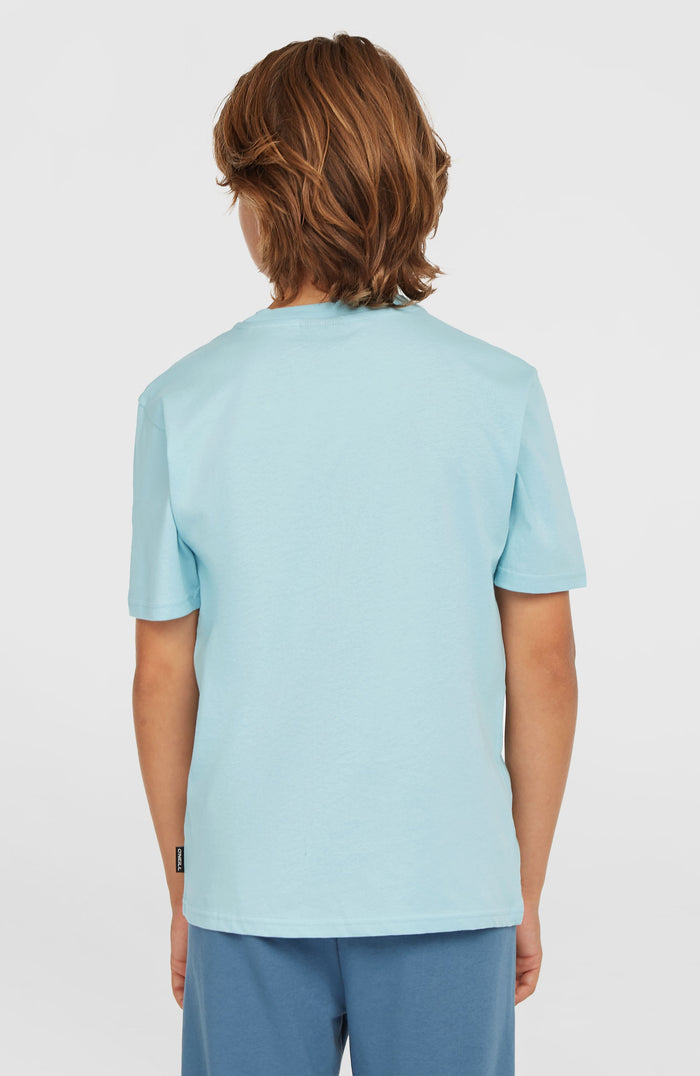 Small Graphic T-Shirt | Morning Glory