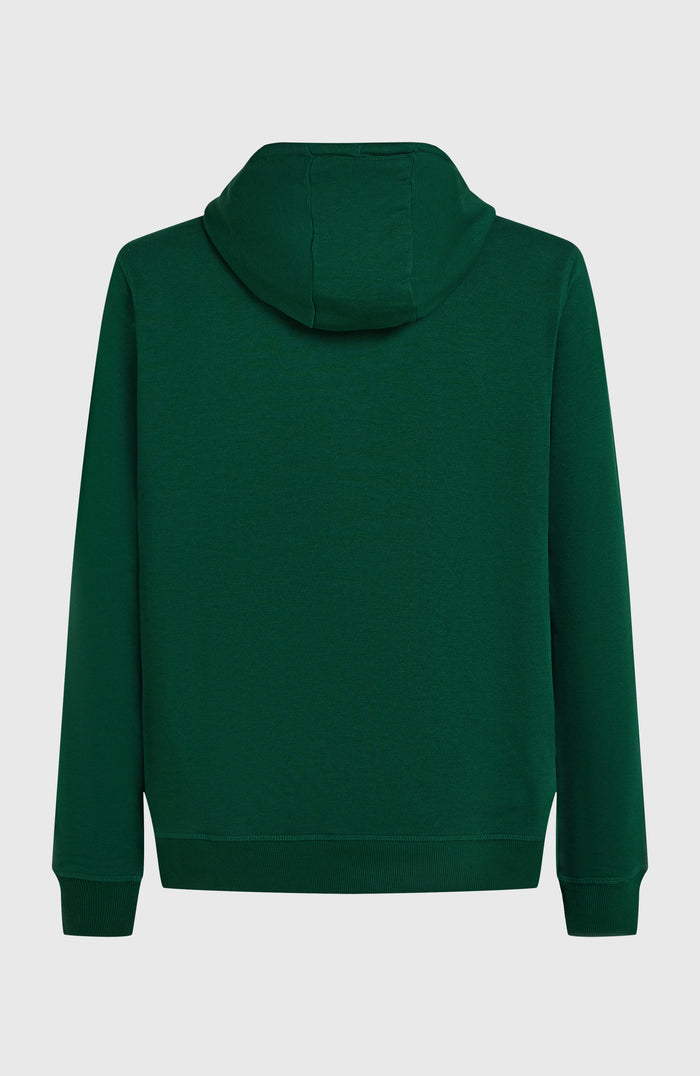 Small Logo Hoodie | Emerald Envy