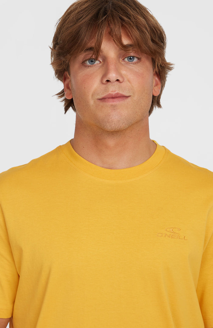 Small Logo T-Shirt | Golden Haze