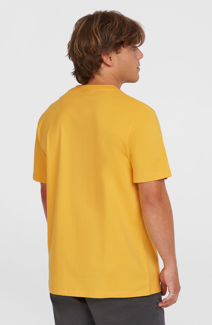 Small Logo T-Shirt | Golden Haze