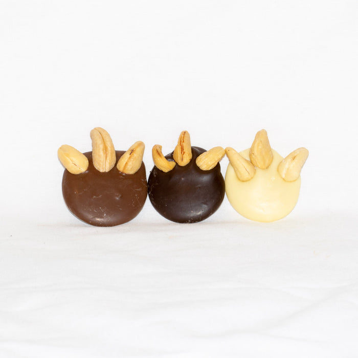 Solid Chocolate Bear Claws
