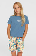 Summer Woven Shorts | Blue Santa Monica