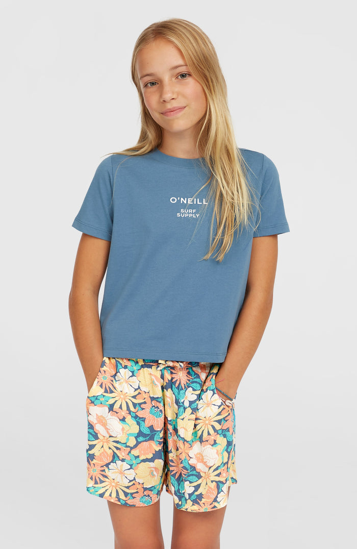 Summer Woven Shorts | Blue Santa Monica