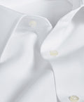 TB7202110 | Royal Oxford Dress Shirt
