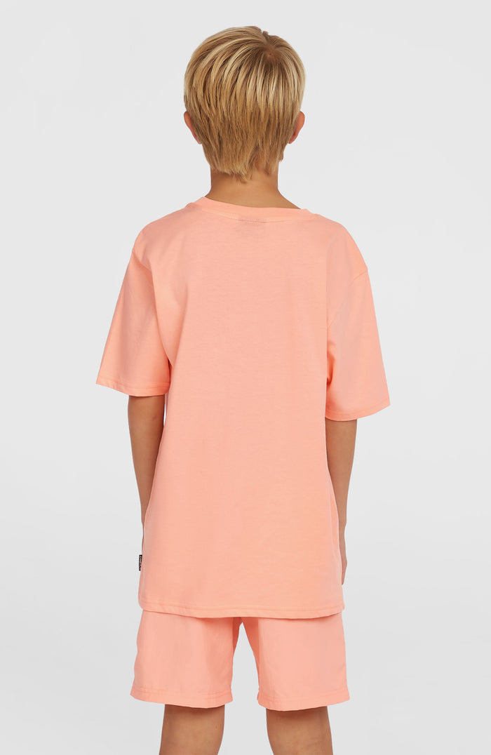 Vert 14'' Swim Shorts | Coral Pop