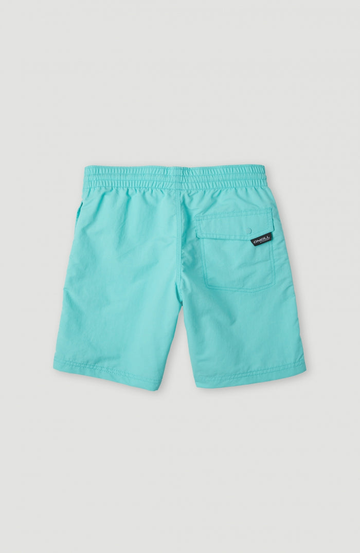 Vert Swim Shorts | Aqua Spalsh