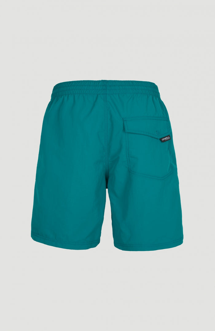 Vert Swim Shorts | Blue Coral