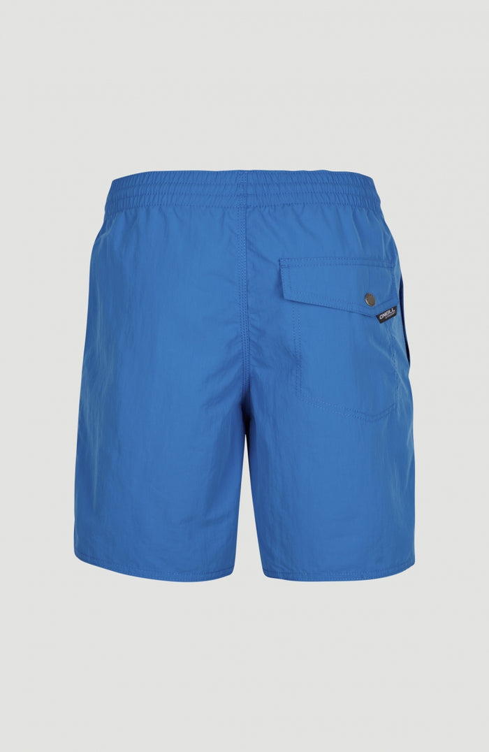 Vert Swim Shorts | Victoria Blue -A