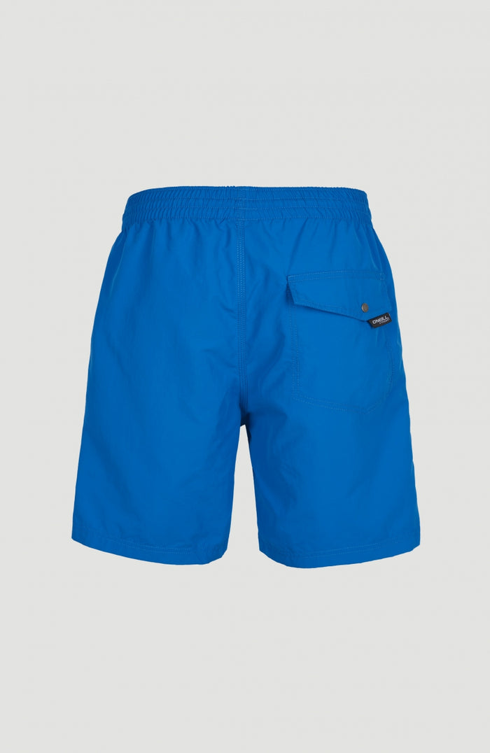 Vert Swim Shorts | Victoria Blue